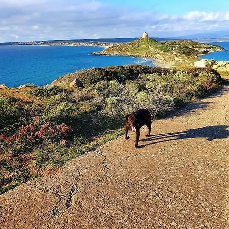 Διαμέρισμα Sinis *