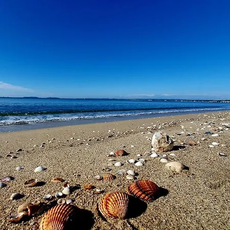 Διαμέρισμα Sinis Palmas Arborea